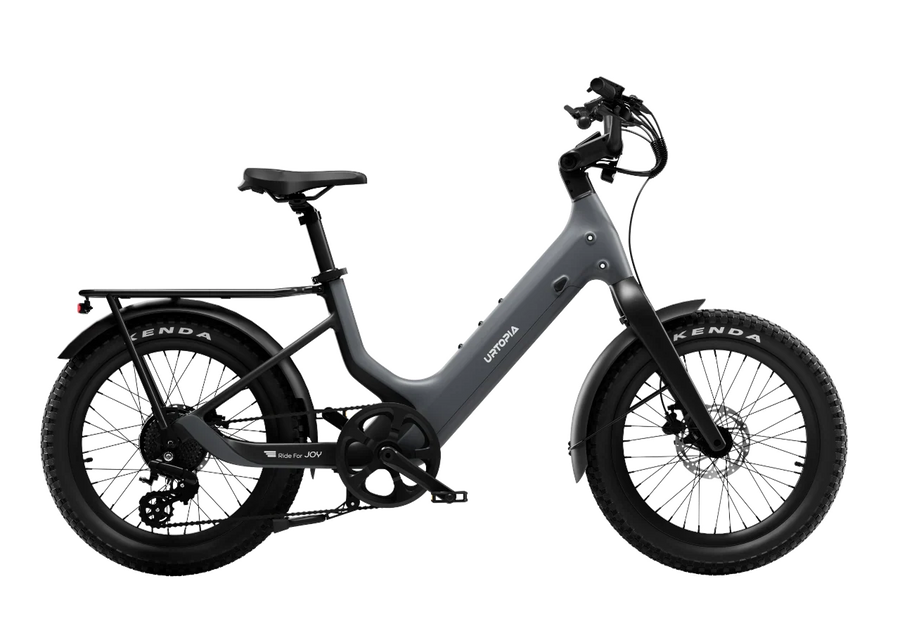 Carbon Joy Ultra (Low Handlebar)