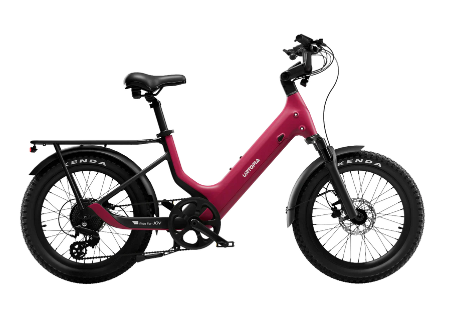Joy Carbon