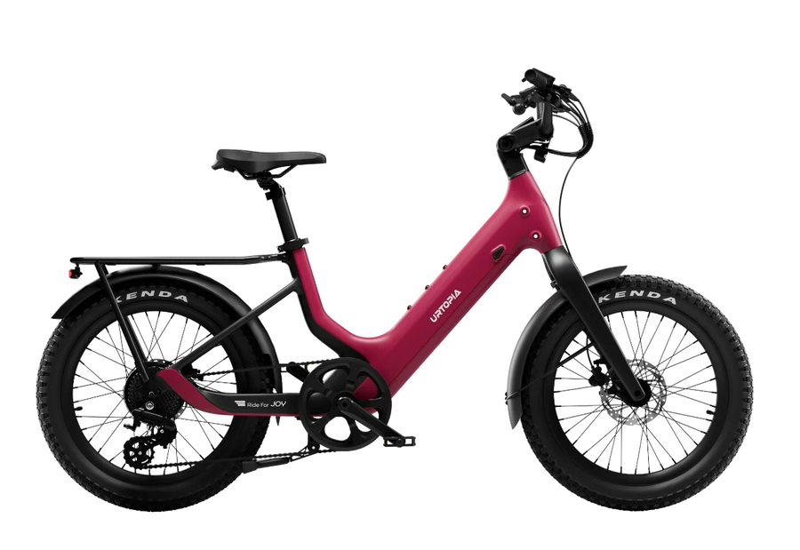 Carbon Joy Ultra (Low Handlebar)